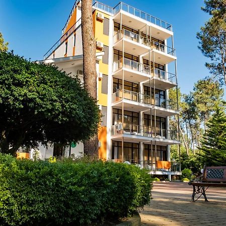 Buxus Hotel Shekvetili Exterior photo