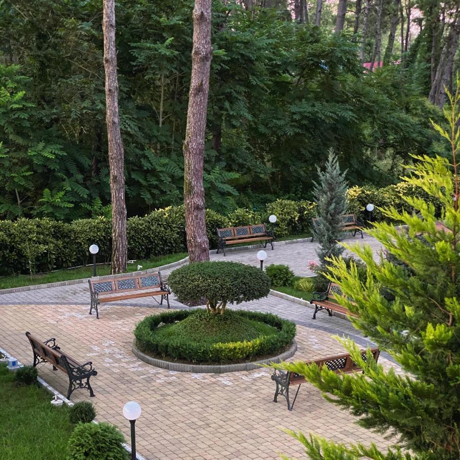 Buxus Hotel Shekvetili Exterior photo
