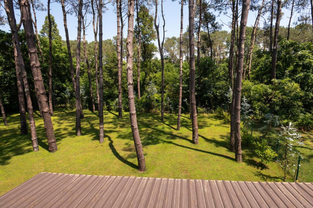 Buxus Hotel Shekvetili Exterior photo