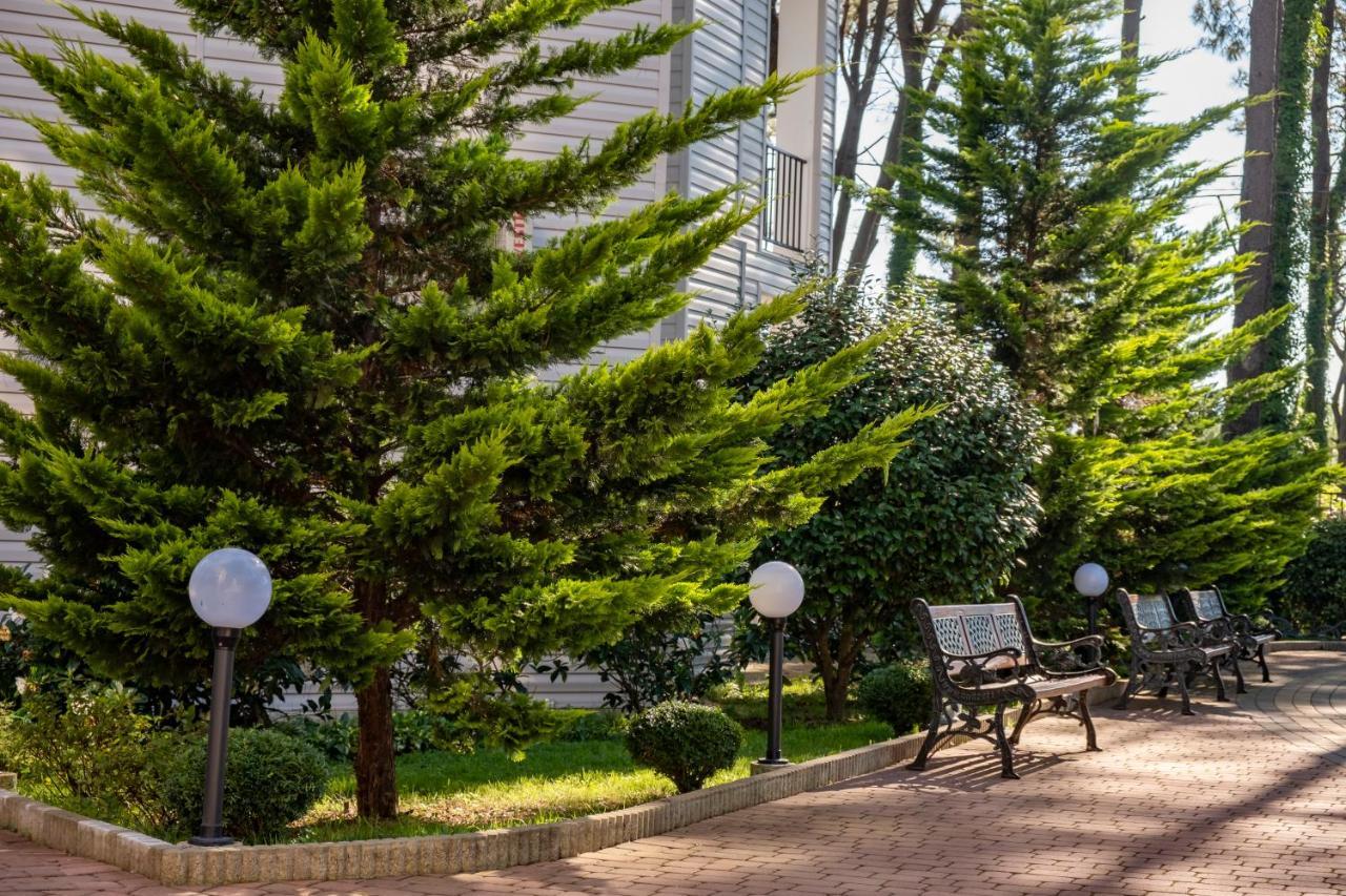Buxus Hotel Shekvetili Exterior photo