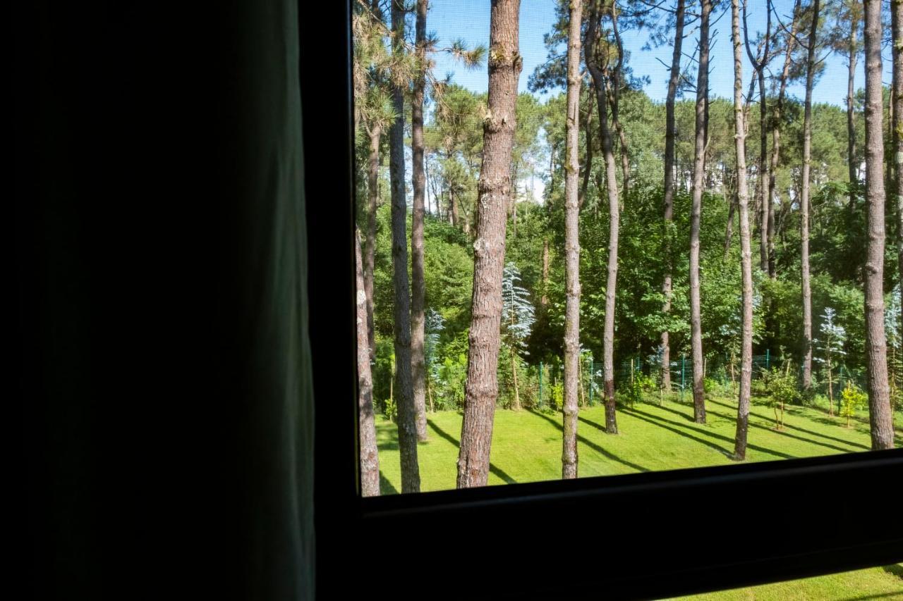 Buxus Hotel Shekvetili Exterior photo