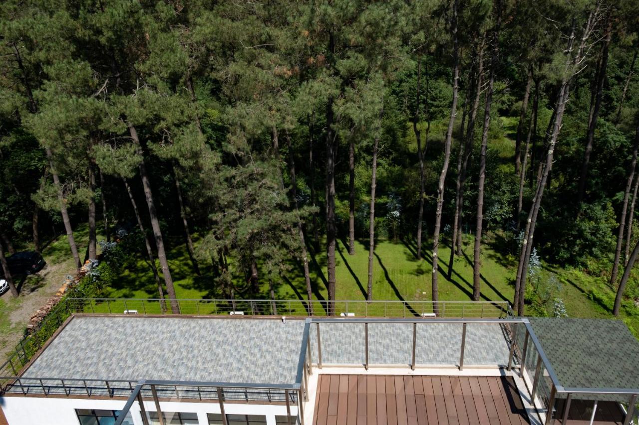Buxus Hotel Shekvetili Exterior photo