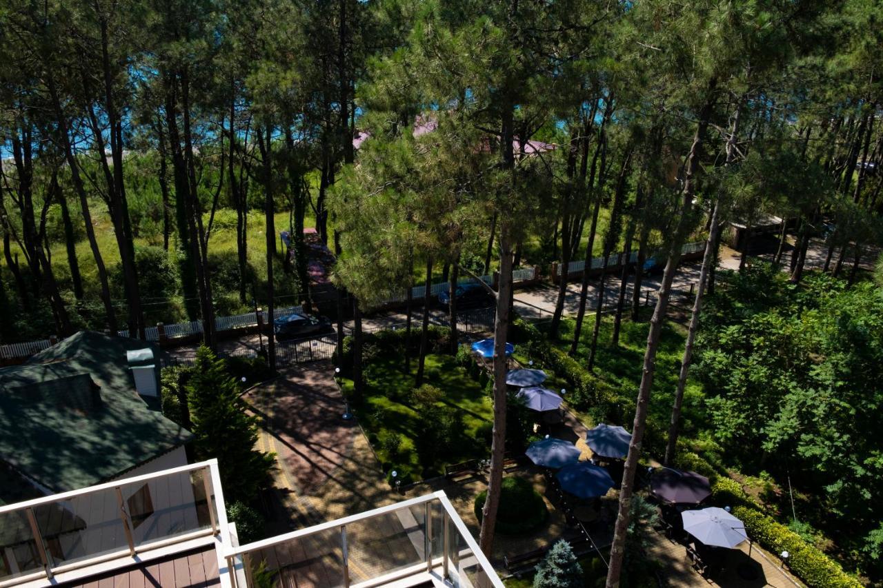 Buxus Hotel Shekvetili Exterior photo