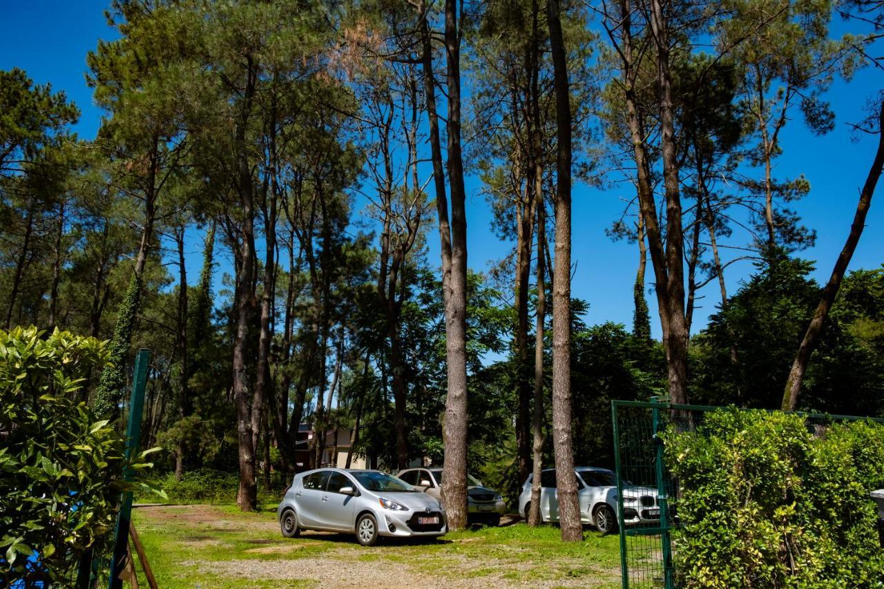 Buxus Hotel Shekvetili Exterior photo