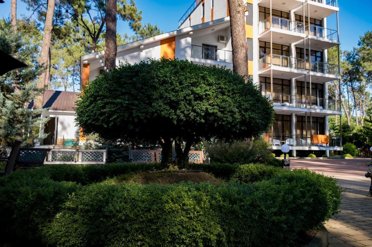 Buxus Hotel Shekvetili Exterior photo