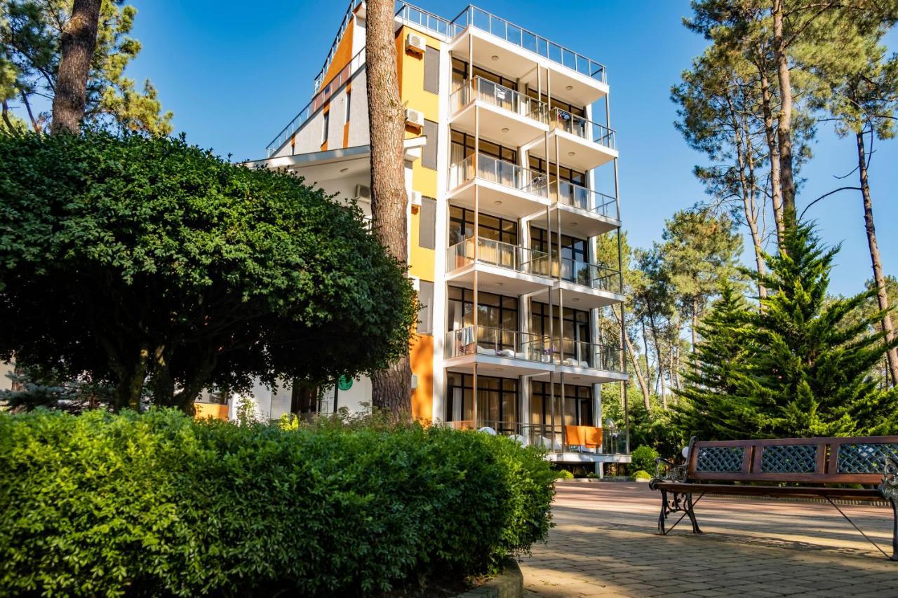 Buxus Hotel Shekvetili Exterior photo
